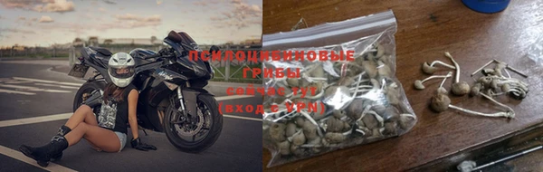 шишки Богородицк