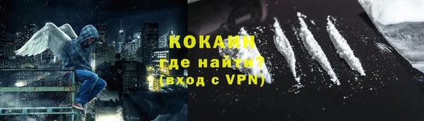 шишки Богородицк