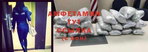 шишки Богородицк