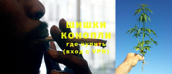 шишки Богородицк