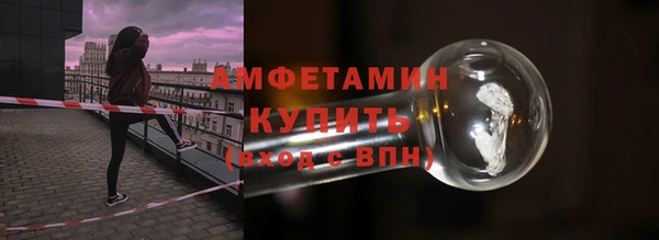 шишки Богородицк