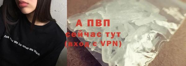винт Богданович