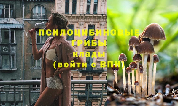 MESCALINE Богородск