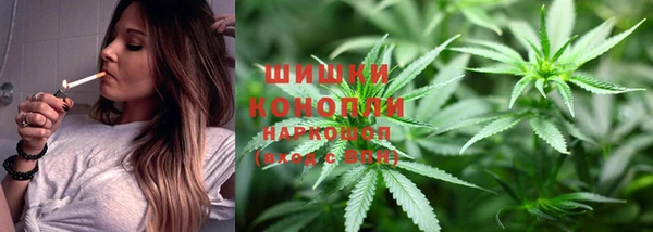 винт Богданович