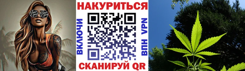 Бошки Шишки планчик  Белгород 